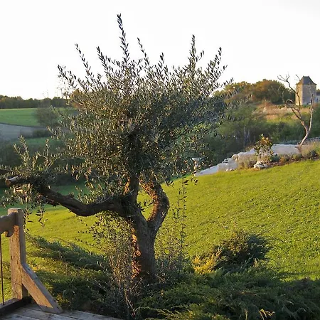 Chartreuse Le Cariol